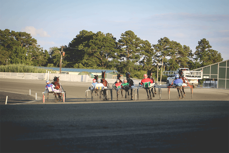 Maryland Horse Races Ocean Downs Casino