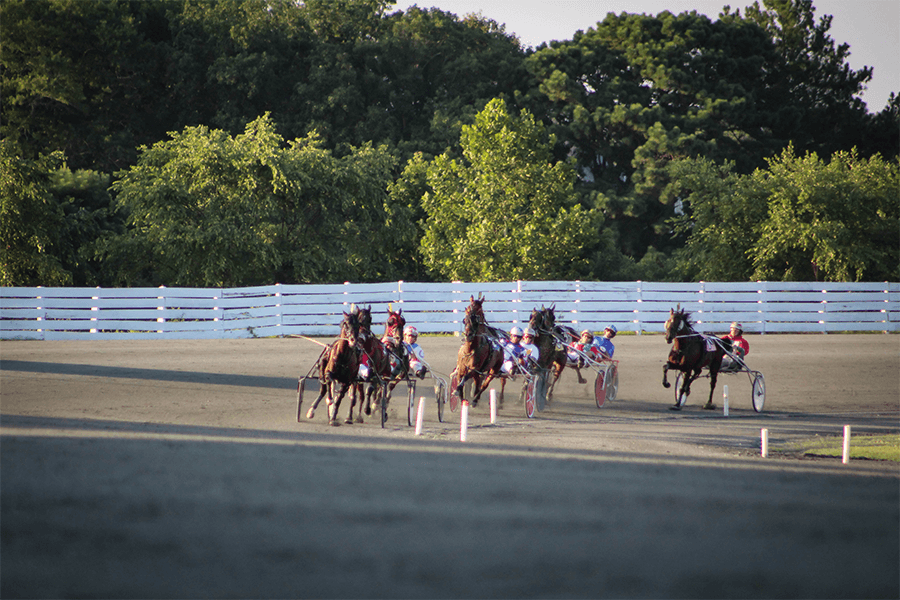 Ocean Downs Live Racing Ocean Downs Casino