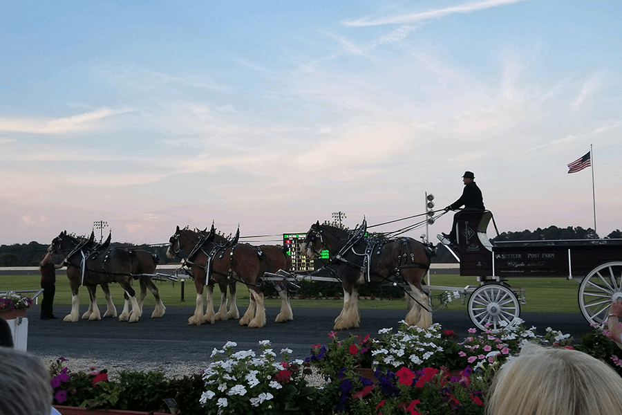 Maryland Horse Races Ocean Downs Casino