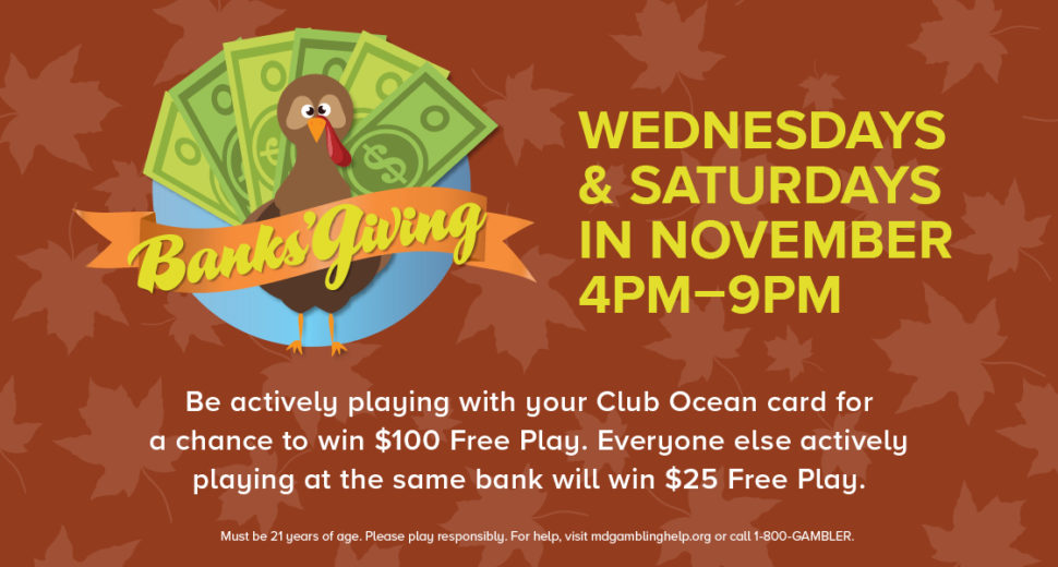 November Promotion