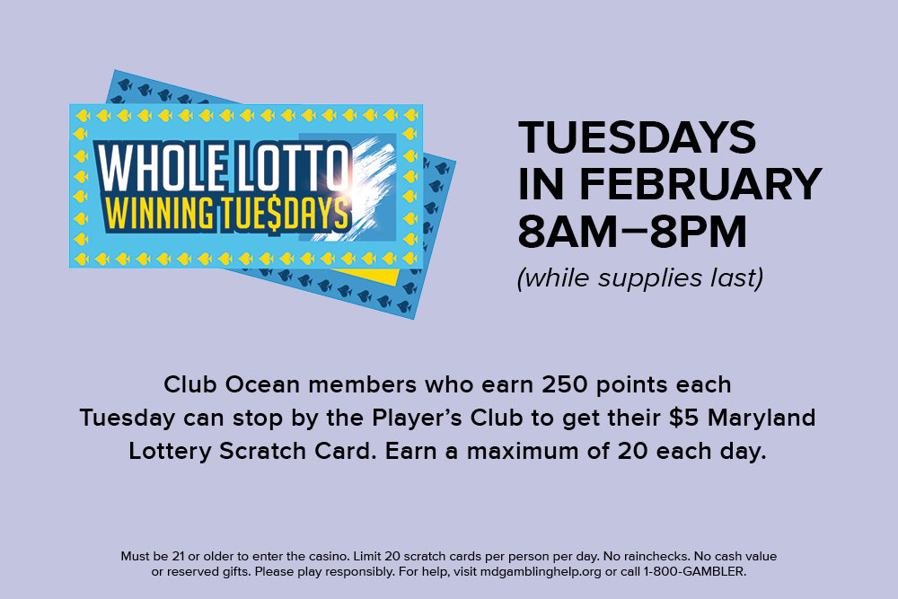 Whole Lotto Winning Tuesdays. Tuesdays in February. 8 AM-8 PM.