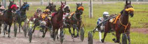 Ocean Pines Racetrack Live Maryland Horse Racing | Ocean Downs Casino & Racetrack