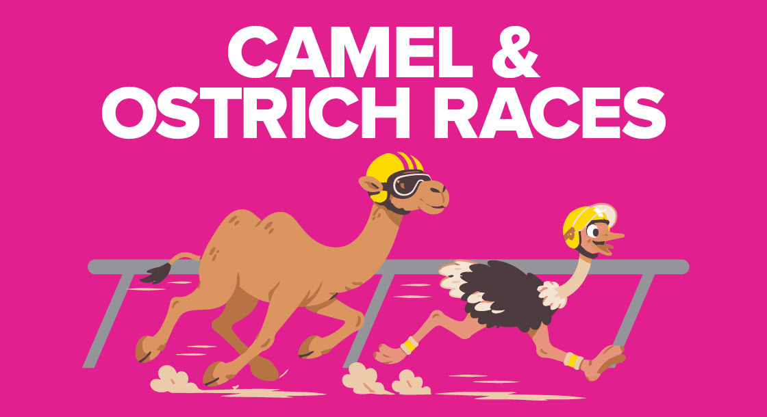 Camel and ostrich races