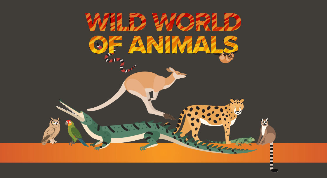 Wild World of animals