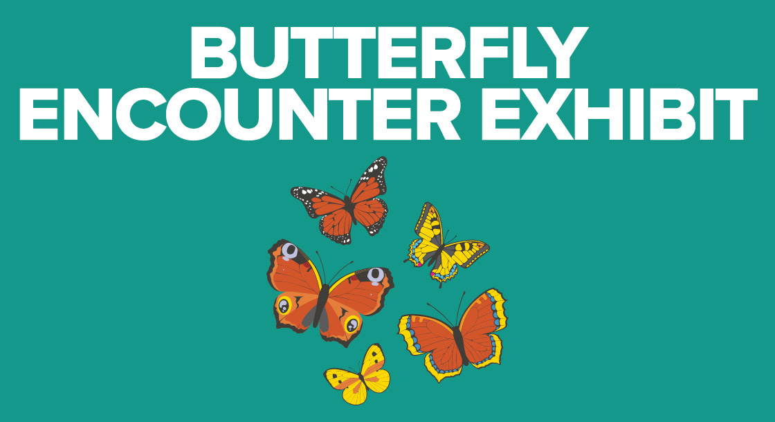 OD-66148-Butterfly_Encounter_Exhibit-Digi_GFX-1120 x 610